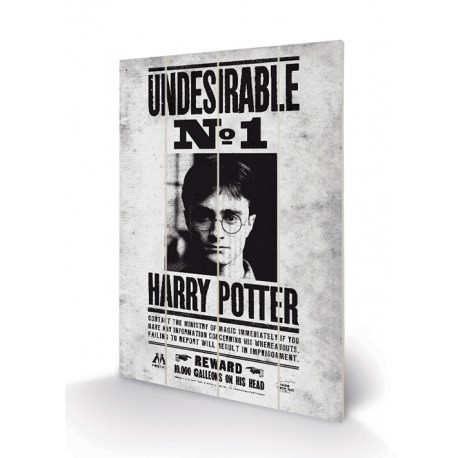 Panneau en Bois Harry Potter Undesirable n°1