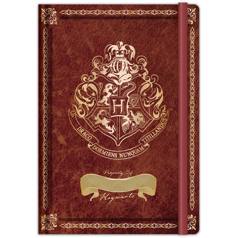 Set Poudlard Harry Potter carnet de notes et stylo baguette sur Cec Design