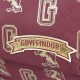 Sac à Dos Harry Potter Gryffondor Institut