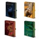 Carnet de Notes Premium Harry Potter Maisons Poudlard