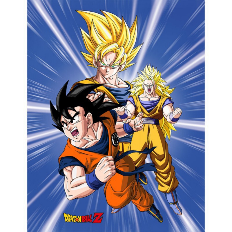 Plaid Dragon Ball Z Personnages sur Cec Design