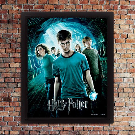 Cadre Harry Potter et L'Ordre du Phénix Effet Animé 3D