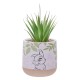 Lot de 2 Plantes en Pot Disney Bambi & Panpan avec Déco Galets